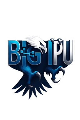 BIGIPU logo